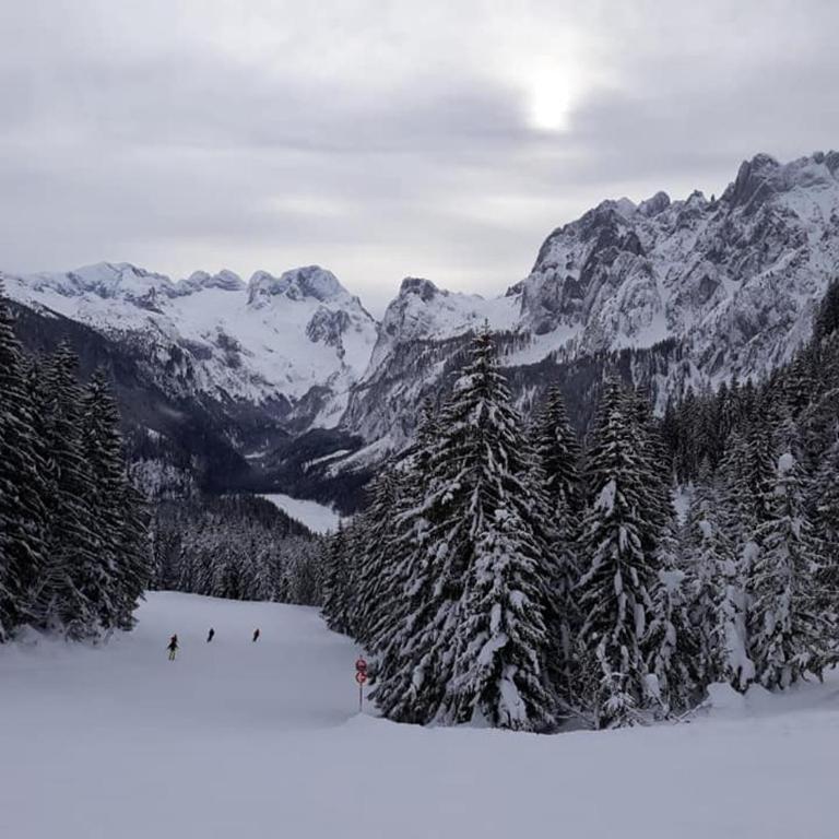 Dachstein view ski apartment - Apartment mit 1 Schlafzimmer - 5