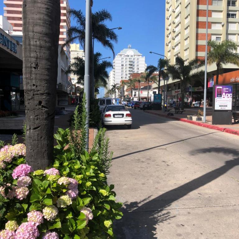 Punta del Este Lux Tower - Apartment with Sea View - 4