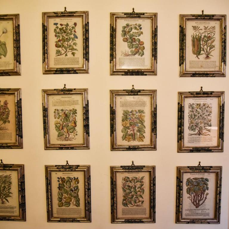 Stylish apartment in central Rome "Centro Storico" - Appartamento - 12