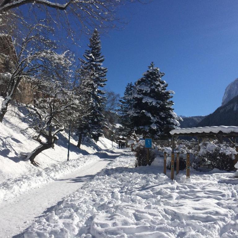 Apartment Cesa Collina- Family Retreat - Appartamento con 2 Camere da Letto - 36