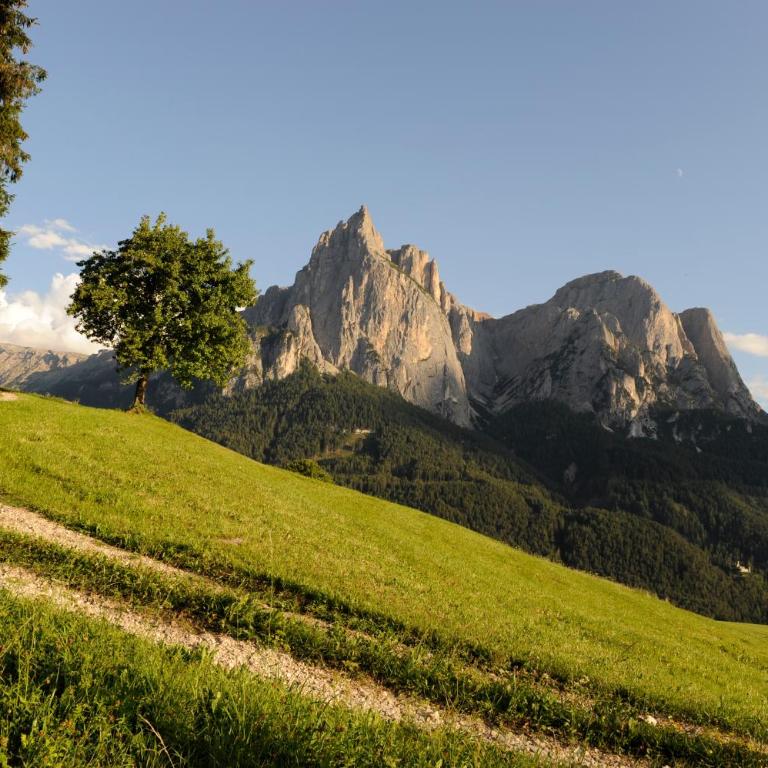 Ferienwohnungen Koflerhof - Appartamento con 2 Camere da Letto - 5