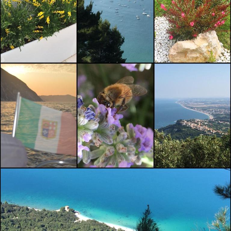 Emozione Marina - appartamento fronte mare - Appartamento con Vista Mare - 27