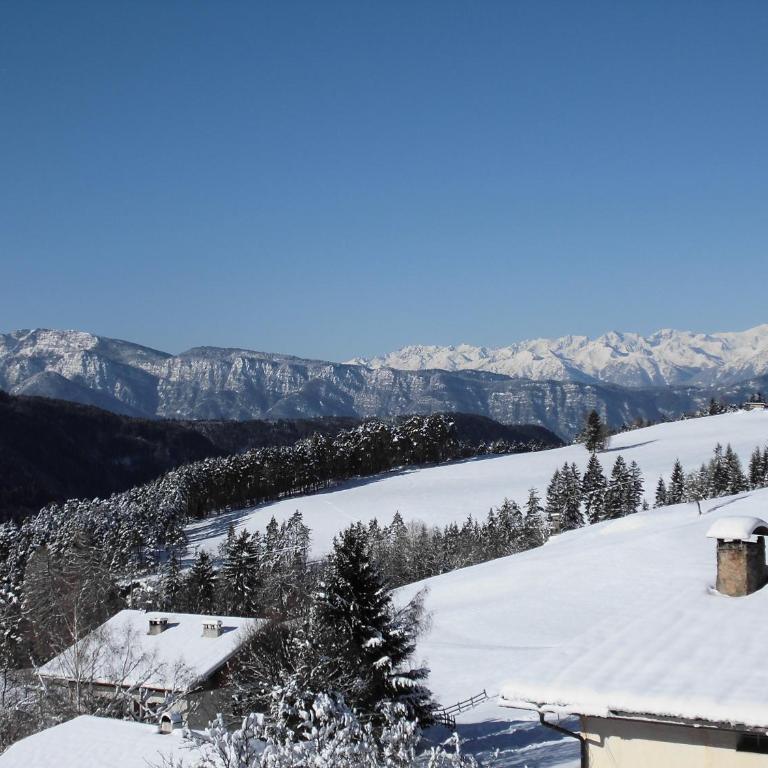 Unterwirtshof - Apartamento con vistas a las montañas - 3