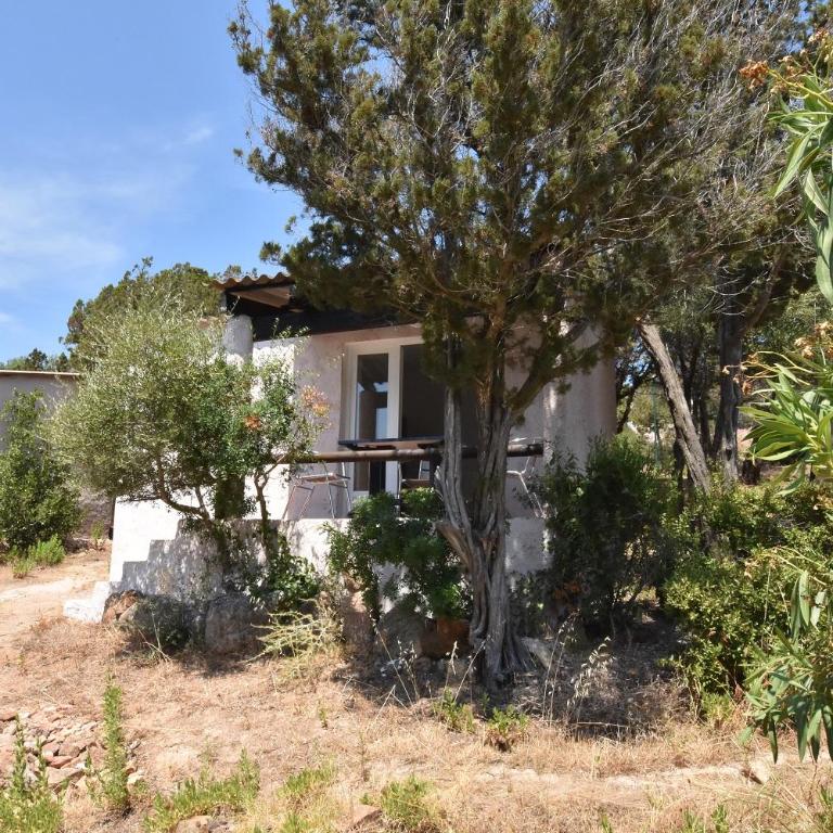 Village Naturiste La Chiappa - Bungalow Standard - 4