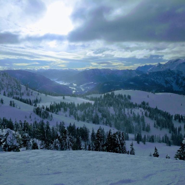Pension Edelweiss Top 25 - Dachstein West - Apartment - 60