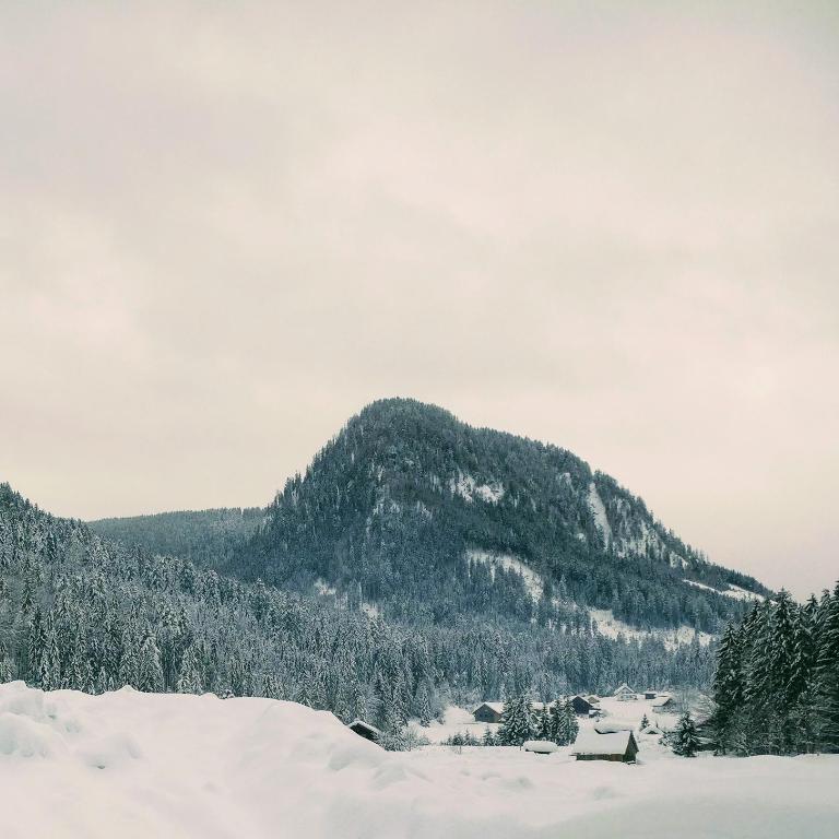 Pension Edelweiss Top 25 - Dachstein West - Apartment - 74