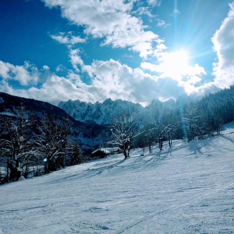 Pension Edelweiss Top 25 - Dachstein West - Apartment - 46