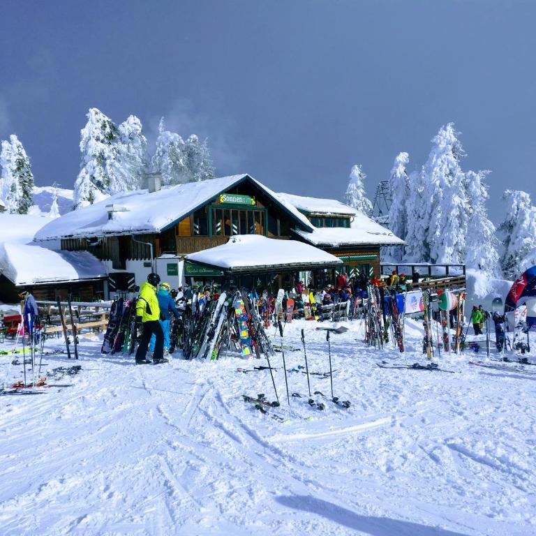 Pension Edelweiss Top 25 - Dachstein West - Apartment - 50