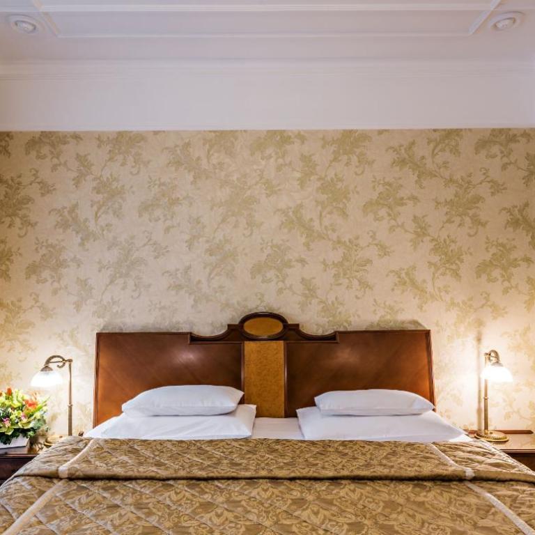 Hotel Moskva - Standardna Dvokrevetna Soba sa Bračnim Krevetom i Besplatnim Korišćenjem Spa Centra - 3