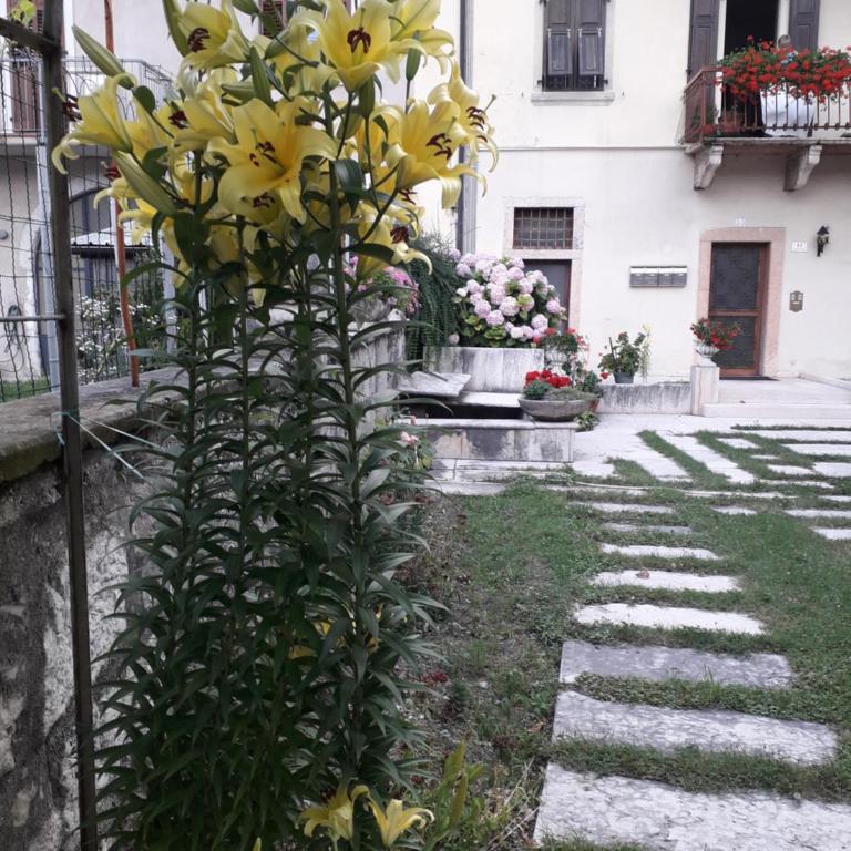 Residence Gemma - Appartamento Monolocale - 5