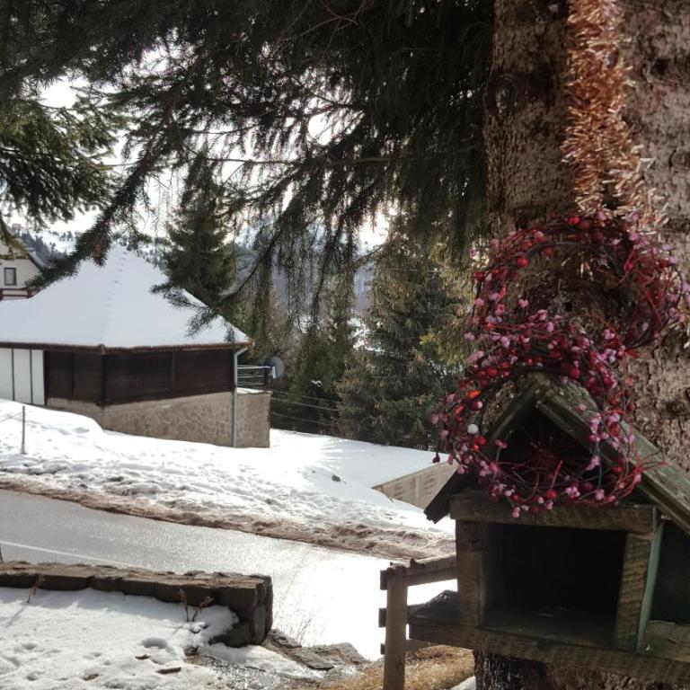 GreenPointMountainHouse for 6 persons - Two-Bedroom House - 13