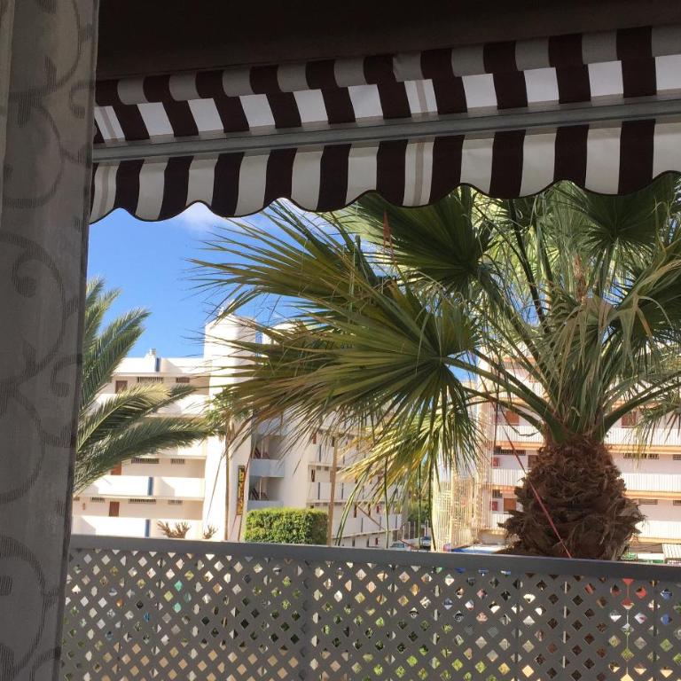 Apartment near Yumbo and Cita - Apartamento - 18