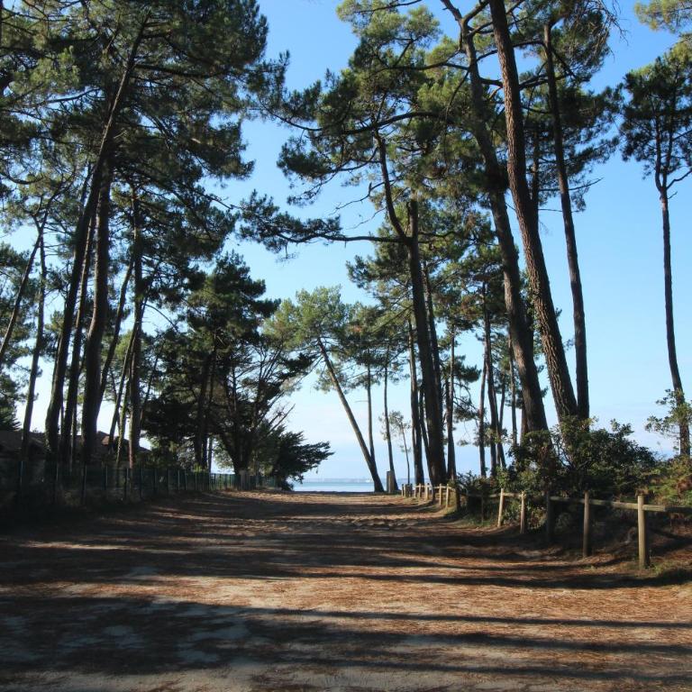 Appartement 2 chambres Bassin d'Arcachon front de mer, plage du Betey - Appartement - Vue sur Mer - 30
