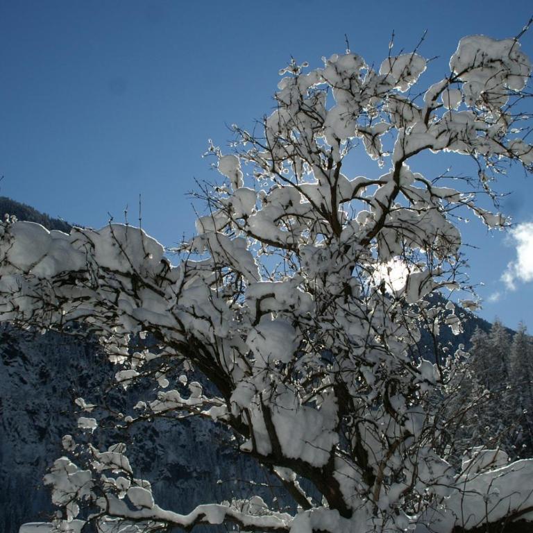 Des Alpes 2 - Appartamento con 2 Camere da Letto - 4