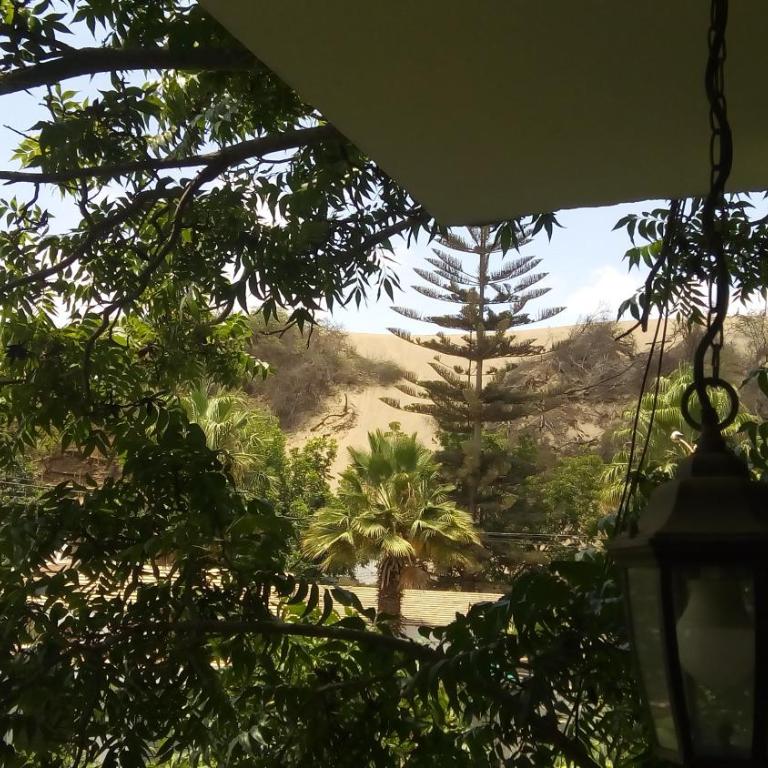 Doña Carmen - Double or Twin Room with Garden View - 7