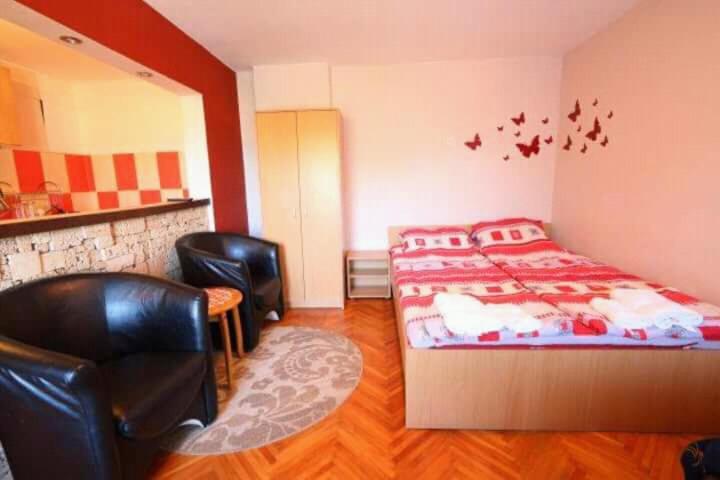 Apartmani Milosavljevic - Vila - 3