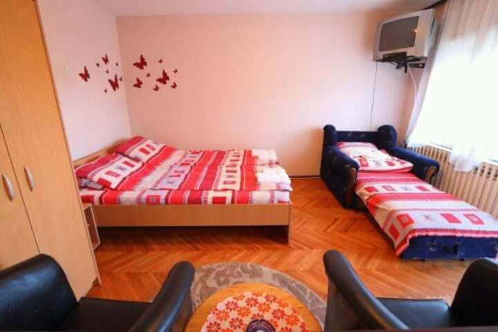 Apartmani Milosavljevic - Vila - 4
