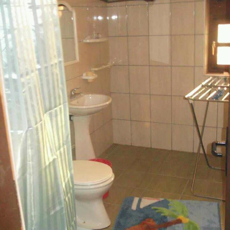 Apartmani Milosavljevic - Vila - 3