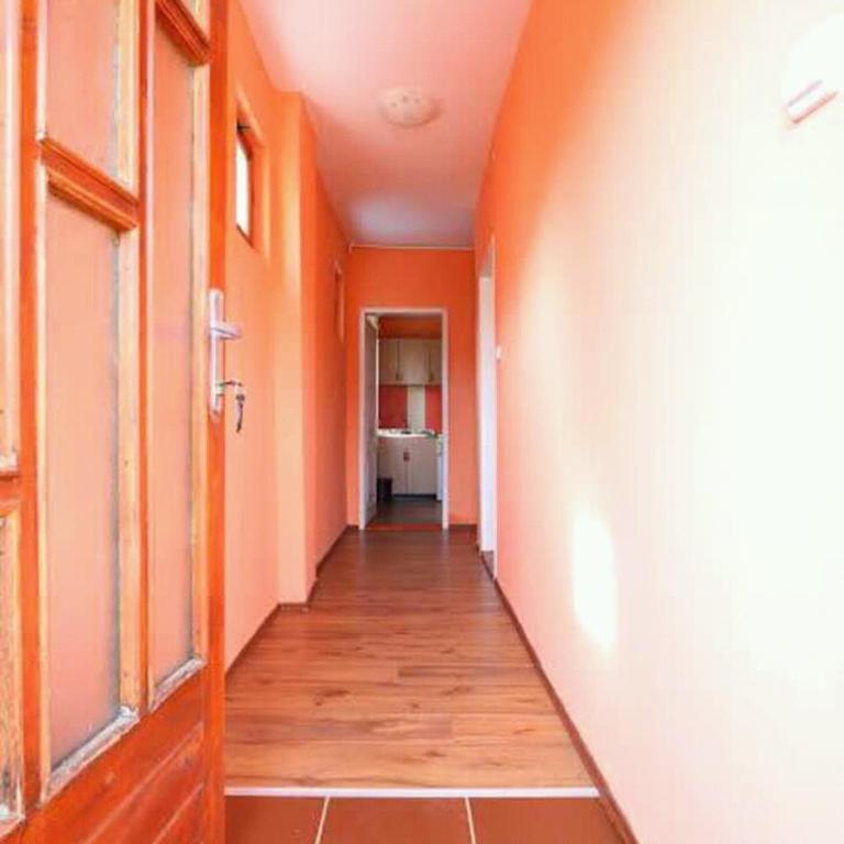 Apartmani Milosavljevic - Vila - 1