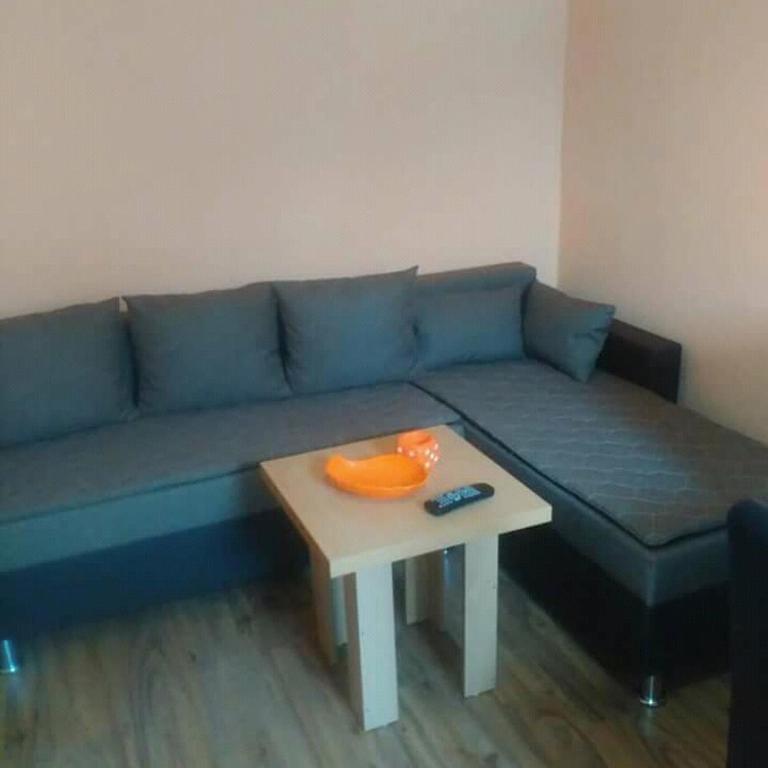 Apartmani Milosavljevic - Vila - 2