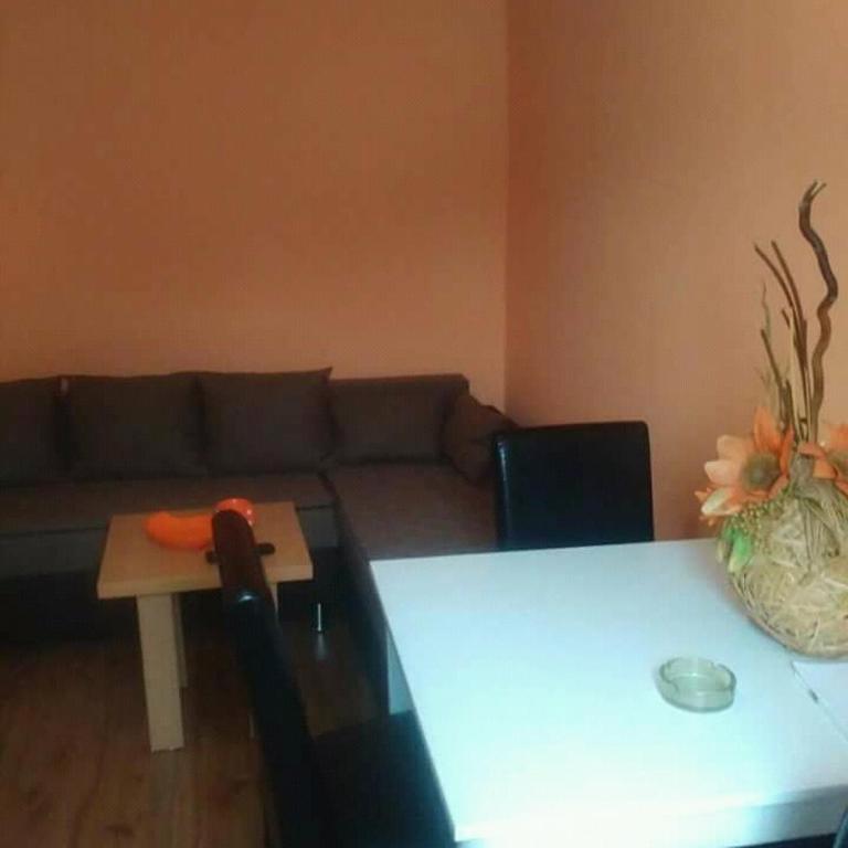 Apartmani Milosavljevic - Vila - 3