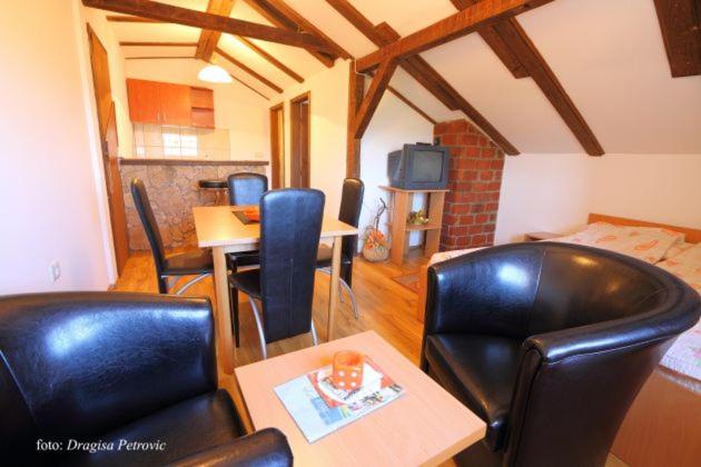 Apartmani Milosavljevic - Vila - 5
