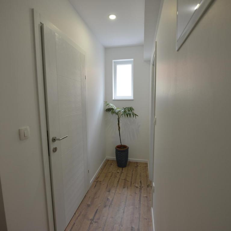 Villa Flower with Free Onsite Parking - Apartment - Ground Floor - 15