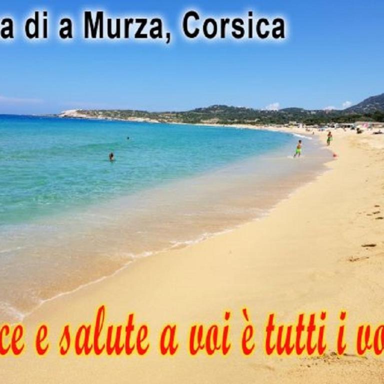 appartement vue mer montagnes et citadelle casa di a murza Calvi - Apartment with Sea View - 22