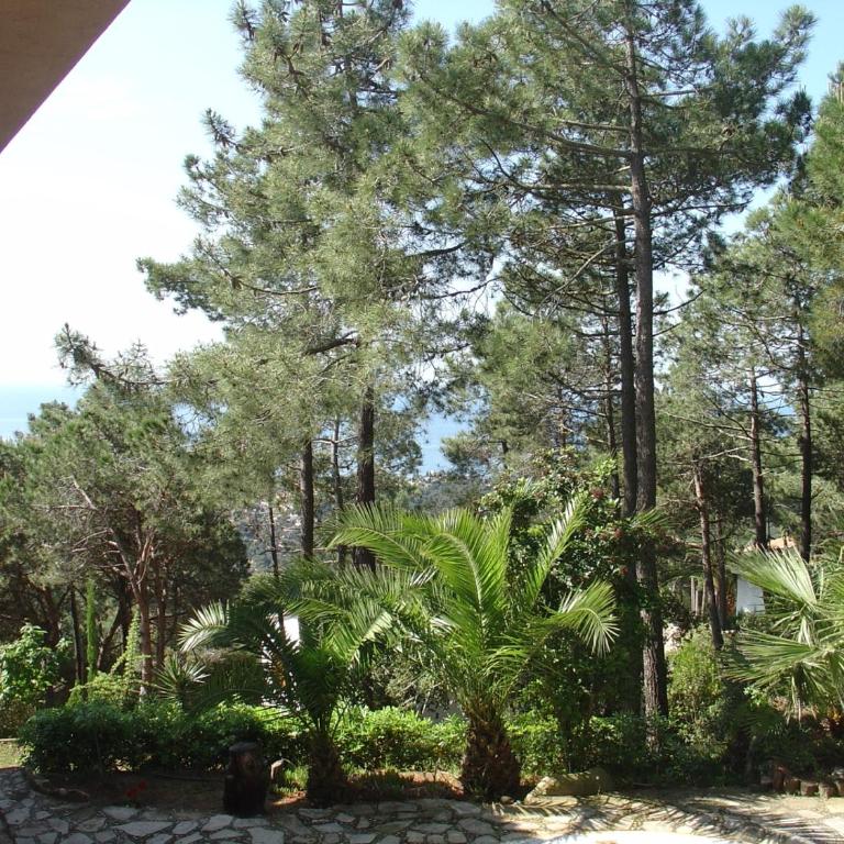 Torre - Villa de 2 dormitorios - 14