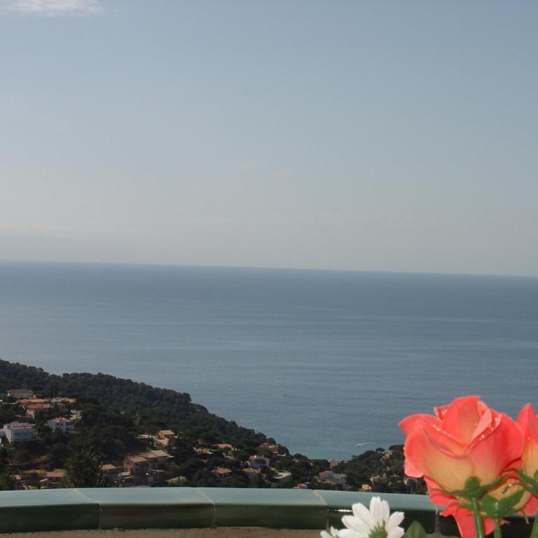 Torre - Villa de 2 dormitorios - 17