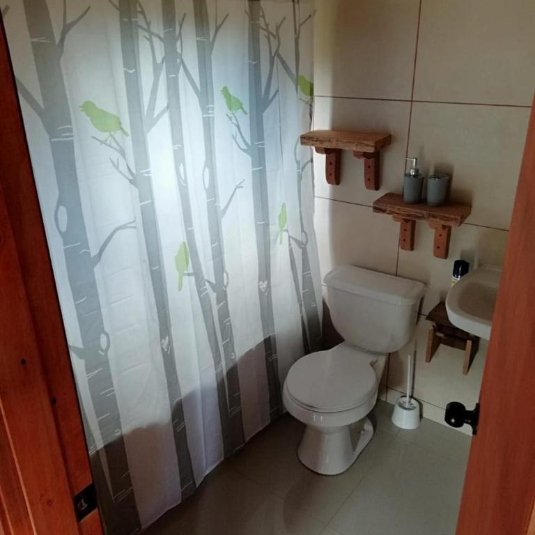 Entre Pampa y Bosque - Casa de campo - 19