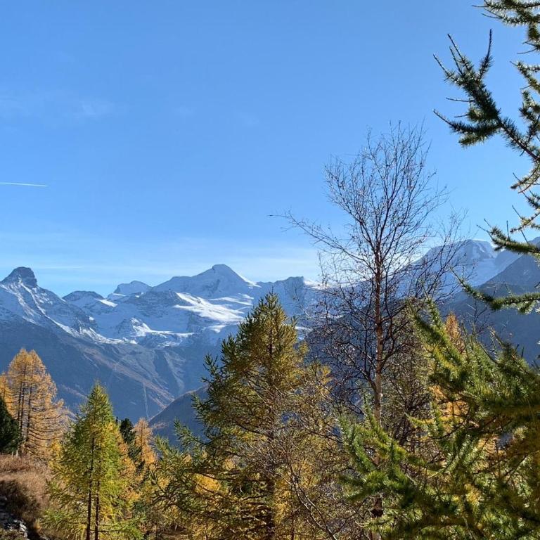Apartment Bergfreude - Apartment mit 3 Schlafzimmern und Bergblick - 44