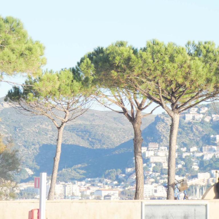 Sol y Levante 26 - Apartamento con terraza - 19