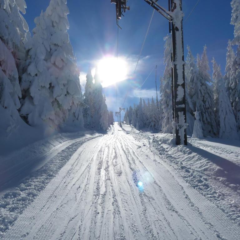 Sky apartments Kopaonik - Apartment - 32