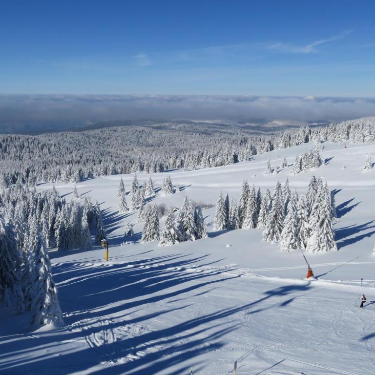 Sky apartments Kopaonik - Apartment - 31