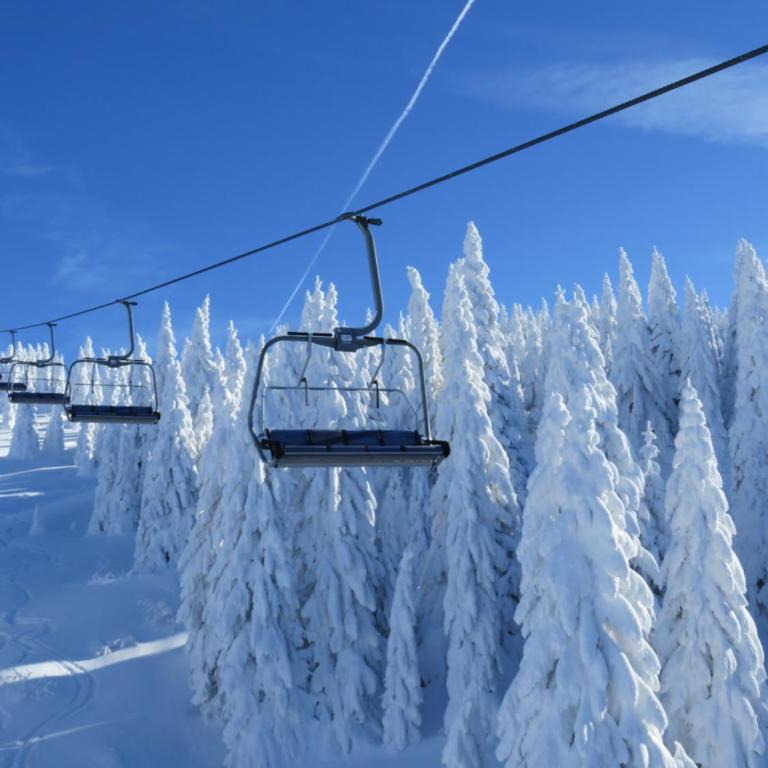 Sky apartments Kopaonik - Apartment - 30
