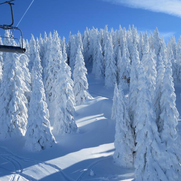 Sky apartments Kopaonik - Apartment - 28