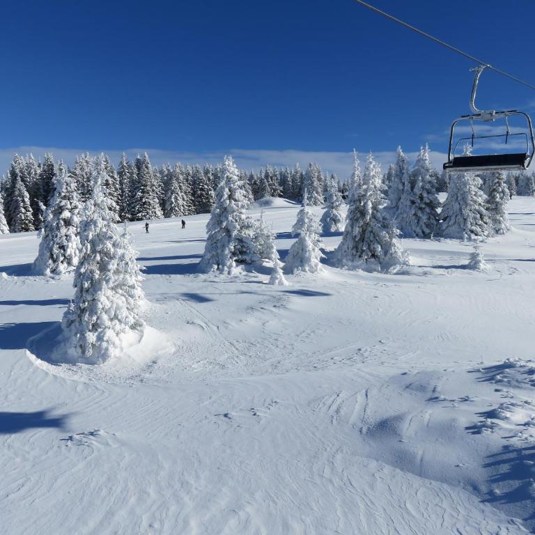 Sky apartments Kopaonik - Apartment - 33