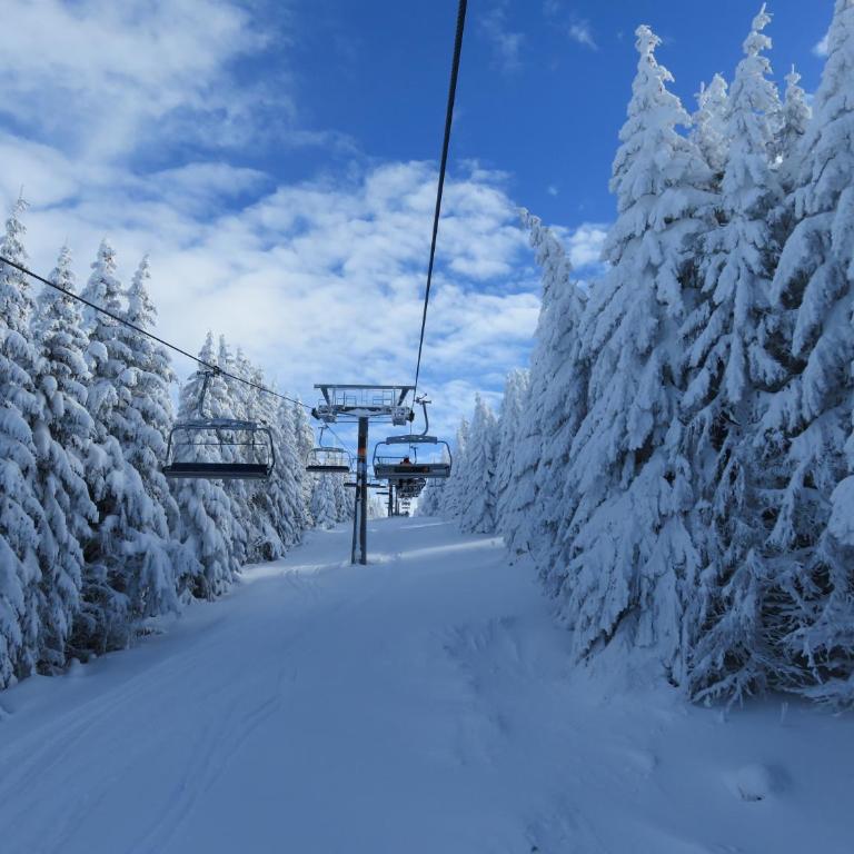 Sky apartments Kopaonik - Apartment - 25