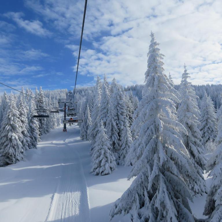 Sky apartments Kopaonik - Apartment - 26