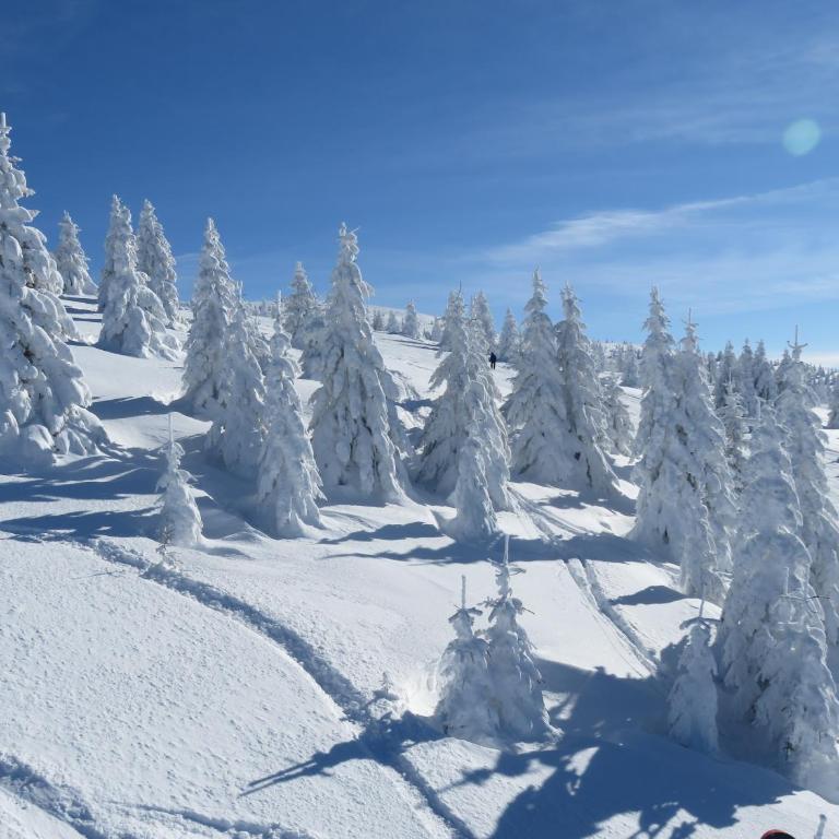 Sky apartments Kopaonik - Apartment - 27