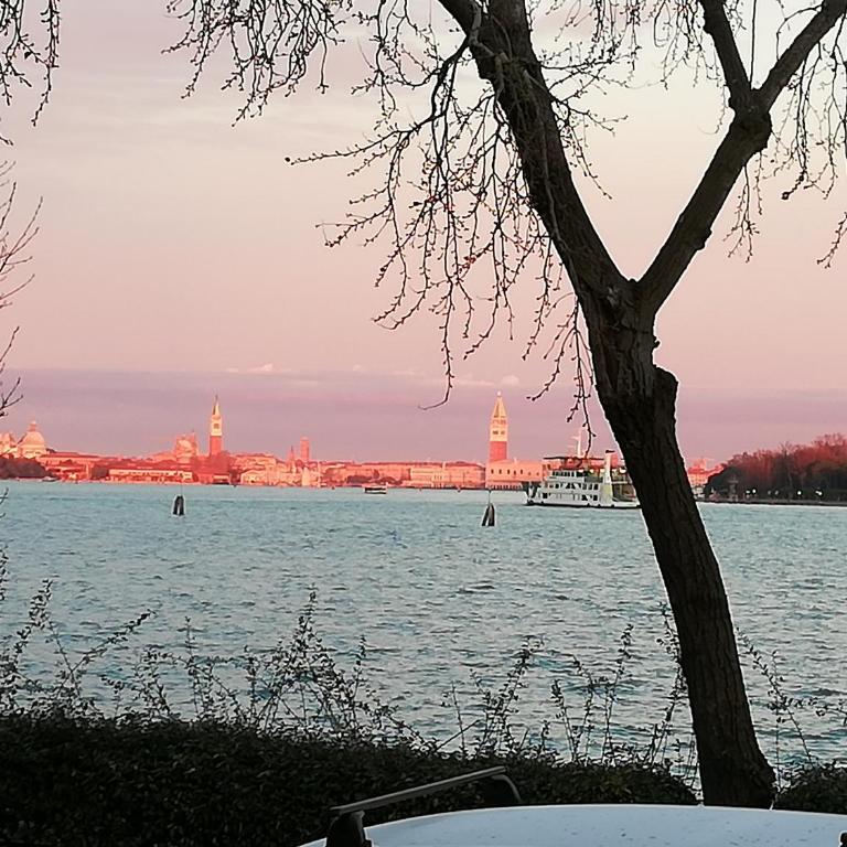 Bellavista SanMarco Venice and lagoon view - Apartamento - 12