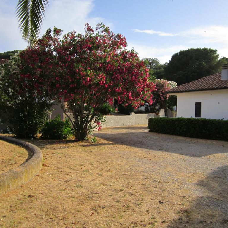 Baia Azzurra - Appartamento (4 Adulti) - 5