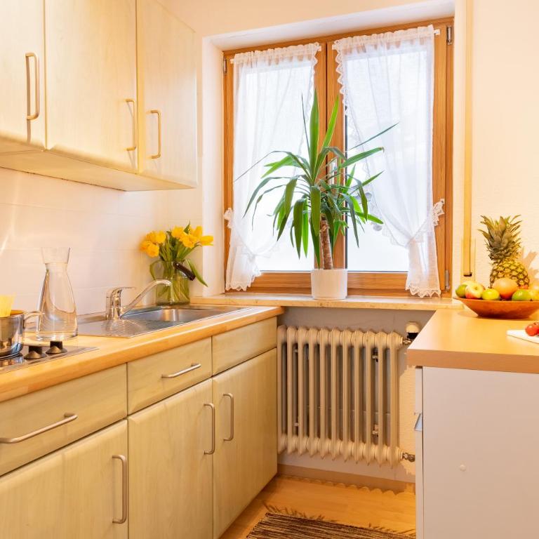 "Haus Enzian" - Annehmlichkeiten von 4-Sterne Familien-und Wellnesshotel Viktoria können mitgenutzt werden - Apartment mit 1 Schlafzimmer - 4