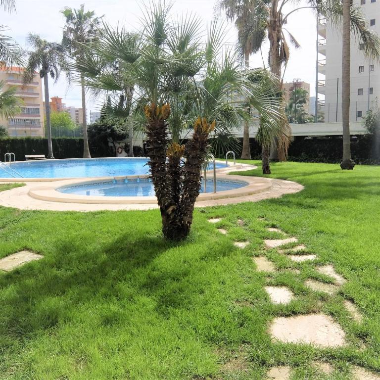 SALINAS III - PLAYA DE GANDIA ( Sólo alquiler Familias ) - Apartamento de 2 dormitorios - 26