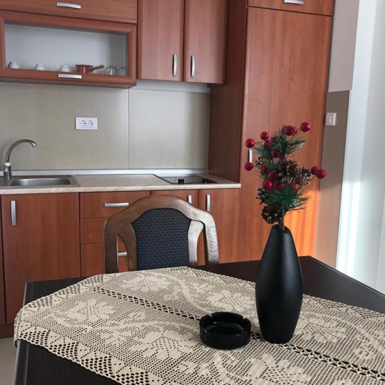 Apartman Rajkovic - Apartman sa 1 Spavaćom Sobom - 42