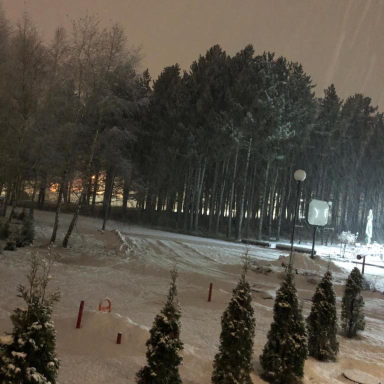 Apartman Rajkovic - Apartman sa 1 Spavaćom Sobom - 66