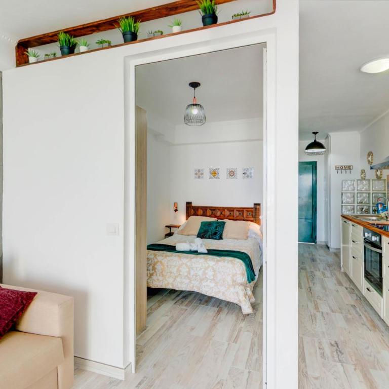 Residence Playa Roca - Apartamento de 1 dormitorio - 24