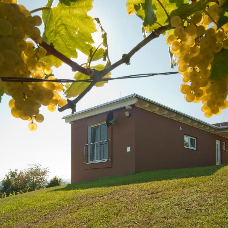 Ferienhäuser im Weingarten - Haus mit 1 Schlafzimmer - 15