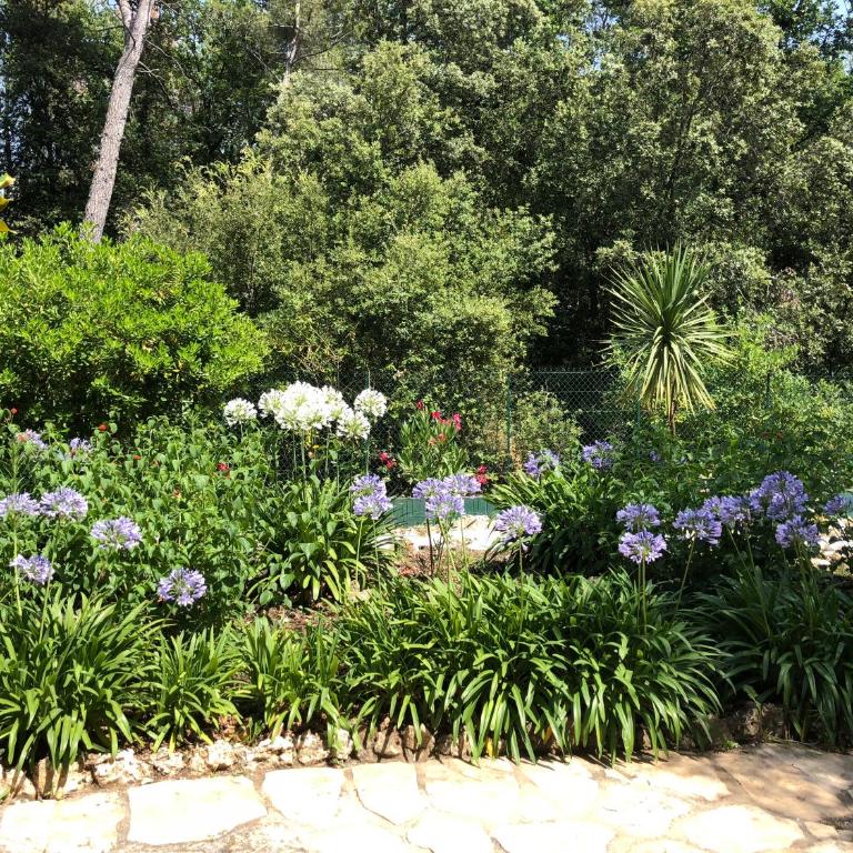 Villa La Pastorale - Villa with Private Pool - 18